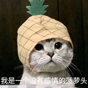 西五街