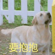 西五街
