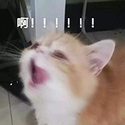 西五街