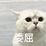西五街